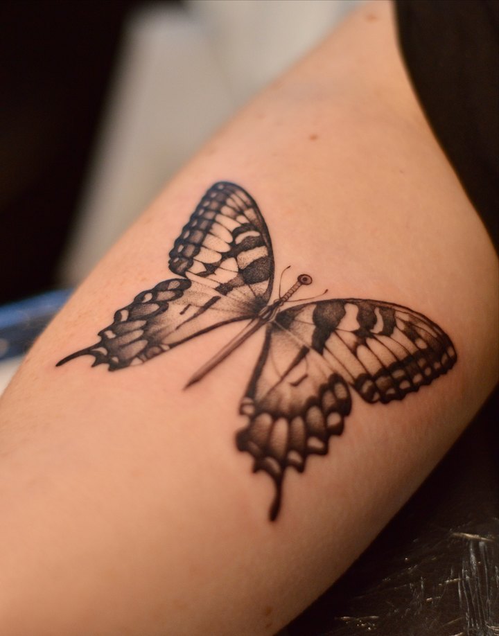 A fine-line black and grey butterfly tattooed on the inside of a forearm.